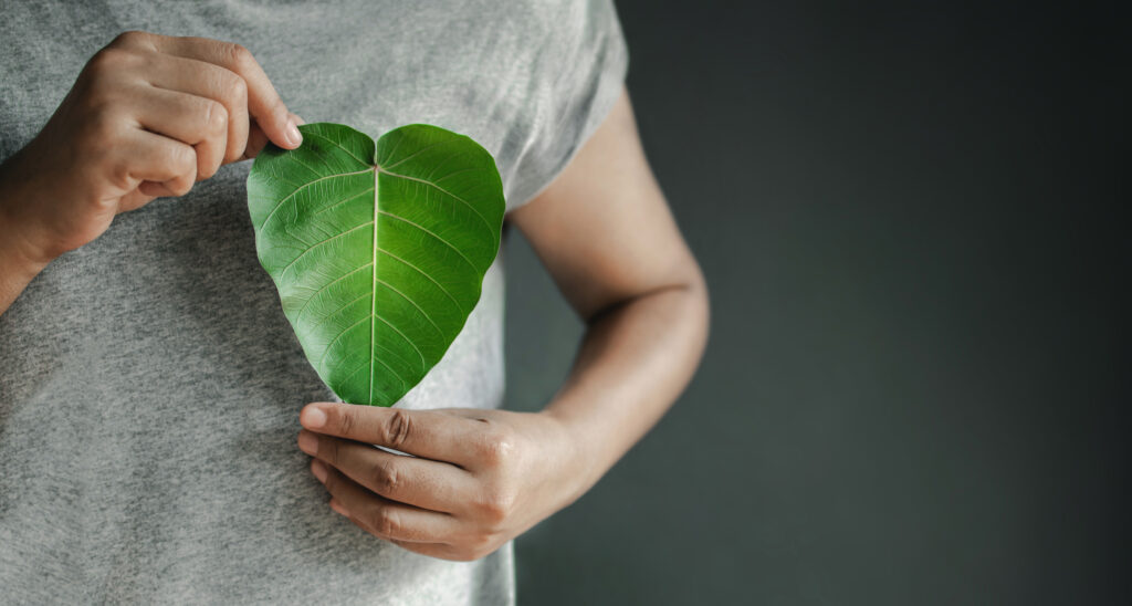 A person holding a leaf shaped as a heart