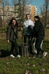 3 students are planting a tree