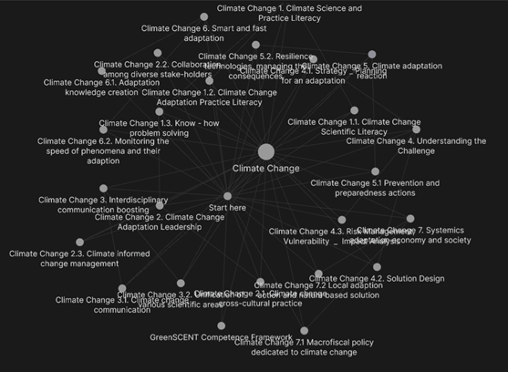 Screenshot of the competency framework graphic