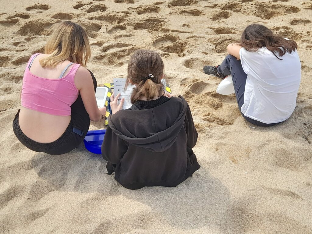 students doing the microplastics' activity at the beach